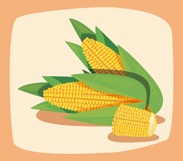 Ilustración de verduras frescas de maíz
