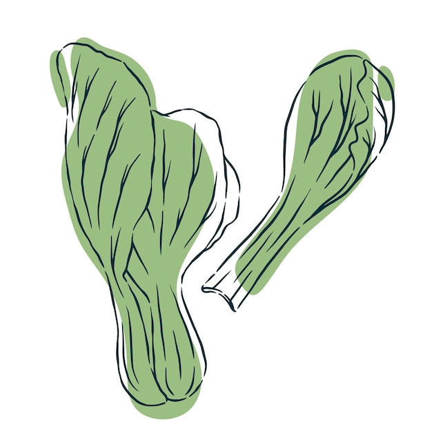 Ilustración de las verduras de Savor Saigon