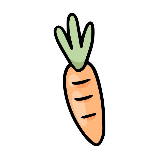 Ilustración de verduras de zanahorias frescas sobre un fondo blanco