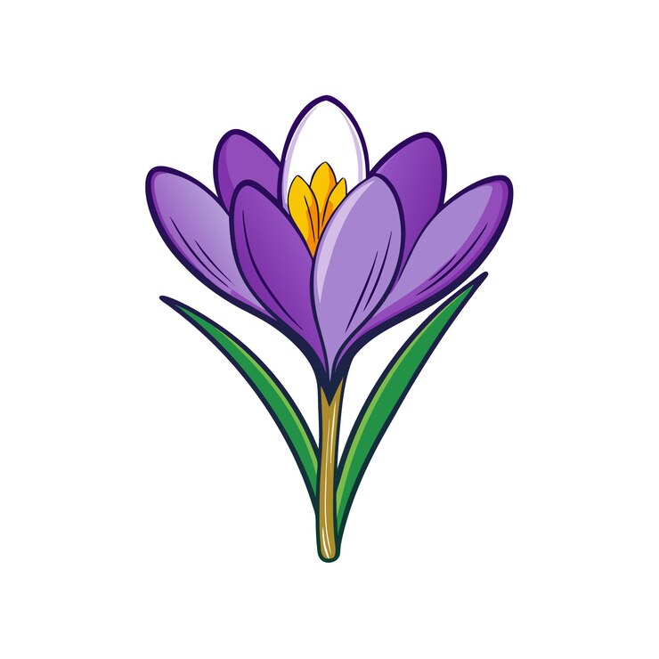 Vector ilustración de la vibrante flor púrpura del crocus