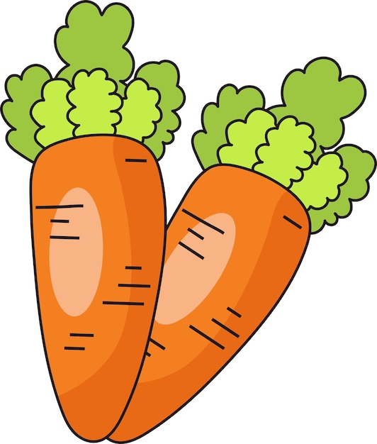 Ilustración de zanahoria fresca naranja
