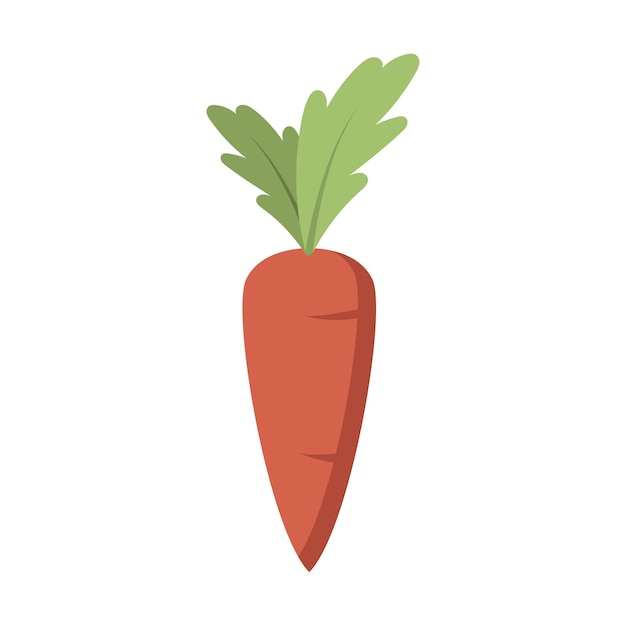 Ilustración de zanahorias frescas de jardinería tema de primavera tema de diseño plano