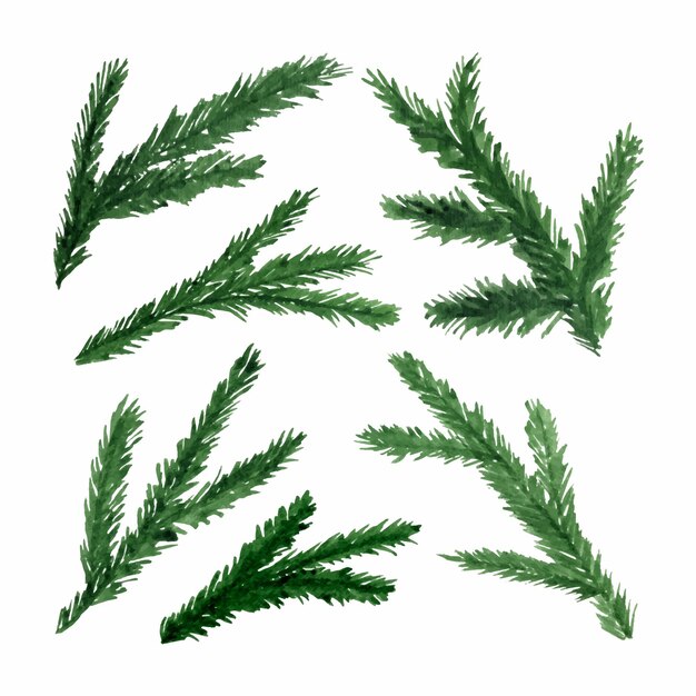 Ilustraciones de acuarela de año nuevo y Navidad con ramas de árboles de Navidad Elementos de invierno