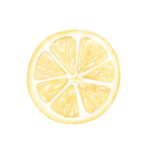 Ilustraciones de acuarelas vectoriales de limones Limones pintados a mano con hojas verdes sobre fondo blanco