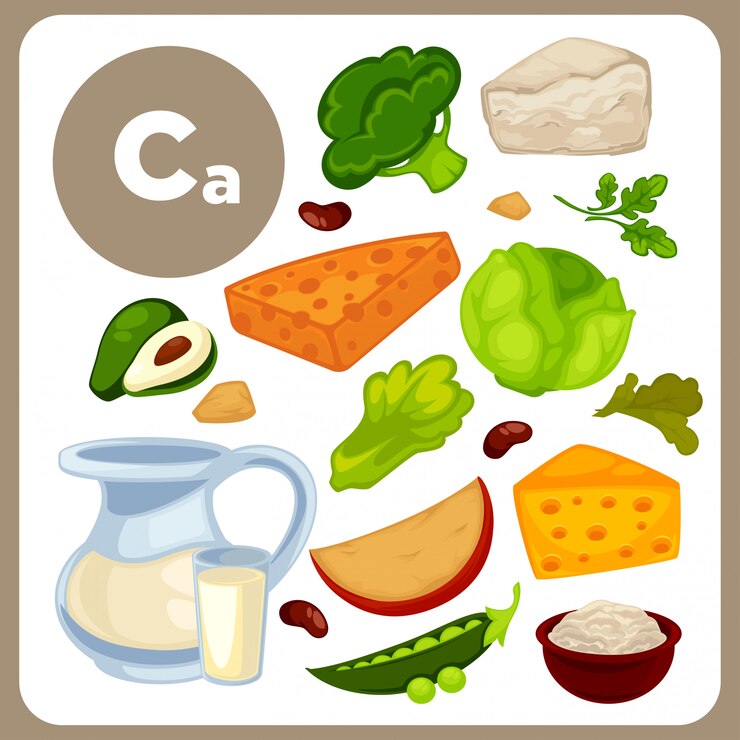 Vector ilustraciones de alimentos con ca.