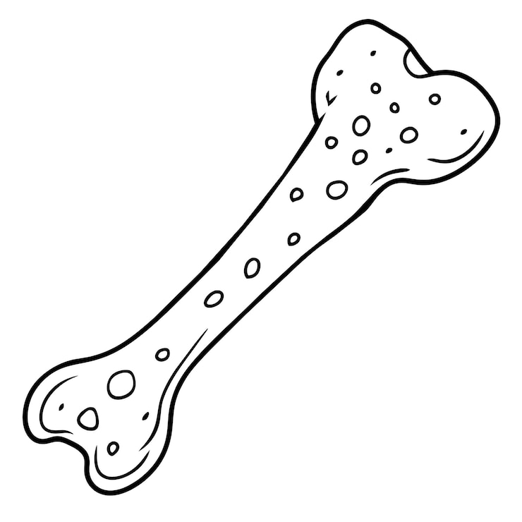 Vector ilustraciones de arte vectorial de médula ósea humana para diseños médicos y científicos