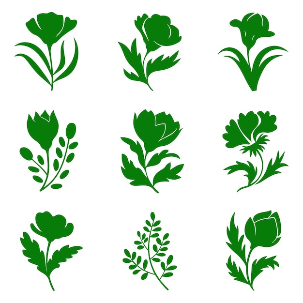 Ilustraciones botánicas inspiradas en la naturalezaDiseños florales