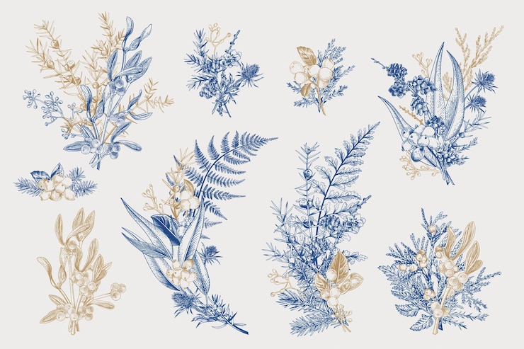 Vector ilustraciones botánicas de invierno