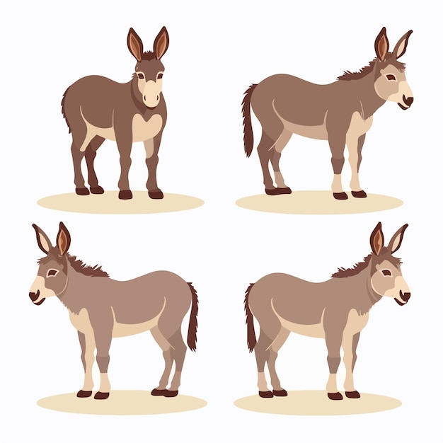 Vector ilustraciones de burros que muestran su naturaleza amable y paciente.