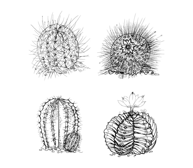 Ilustraciones de cactus en estilo Art Ink