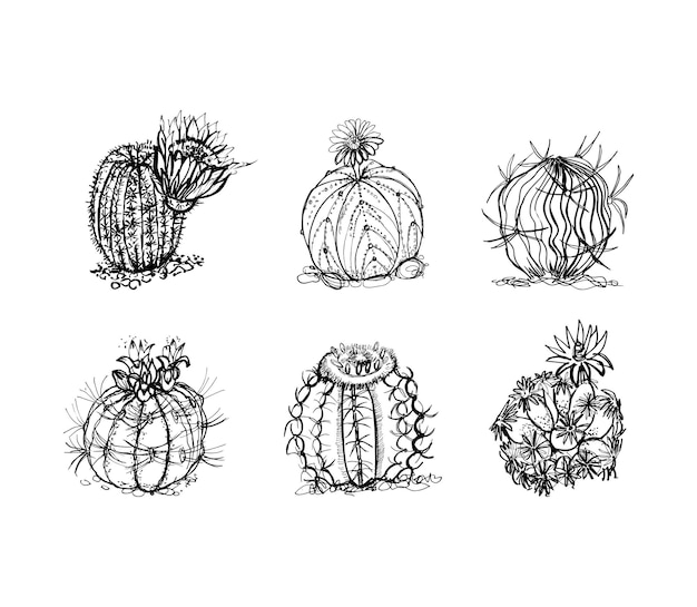 Ilustraciones de cactus en estilo art ink