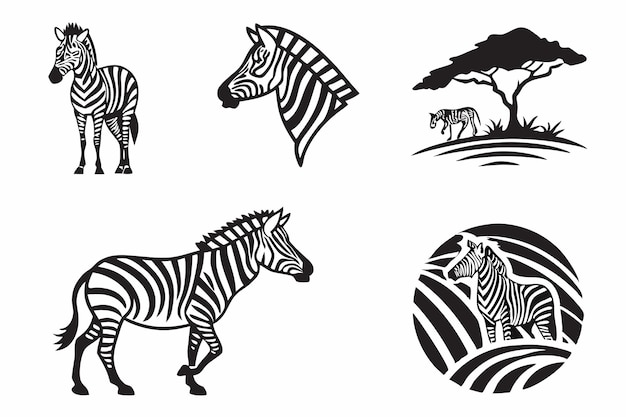 Ilustraciones de cebras en estilo monocromático