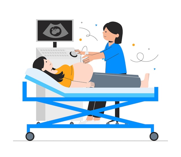 Ilustraciones para el chequeo de embarazo de la mujer