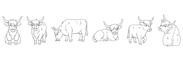 Ilustraciones de contorno vectorial dibujadas a mano de vacas de las Tierras Altas en varias posturas, incluida la de pie sentada