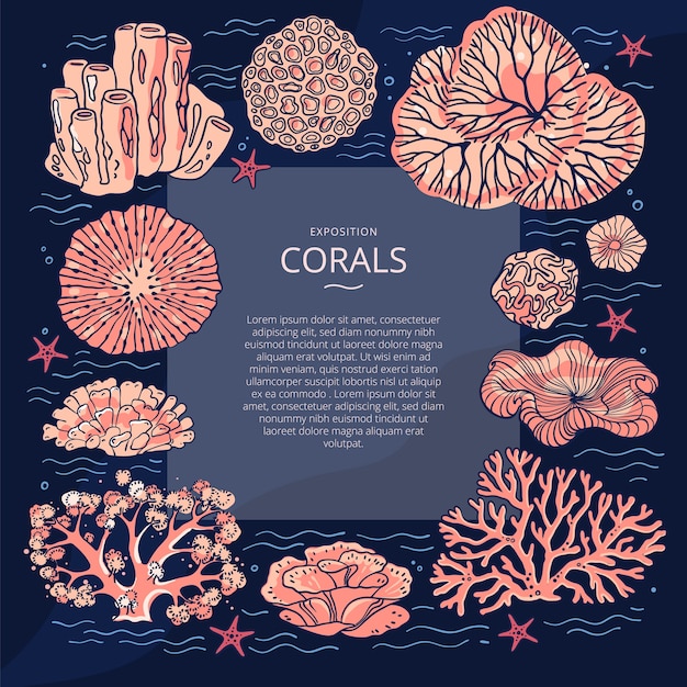 Vector ilustraciones de corales. plantilla con corales alrededor del texto y líneas onduladas.