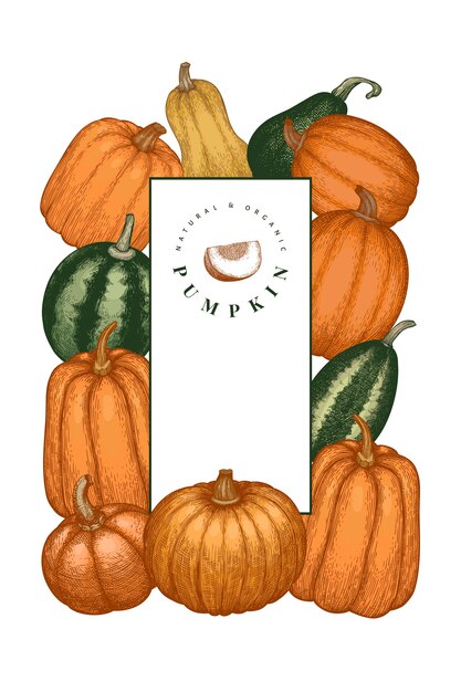 Ilustraciones dibujadas a mano de color calabaza. Telón de fondo de acción de gracias en estilo retro con cosecha de calabaza. Fondo de otoño.
