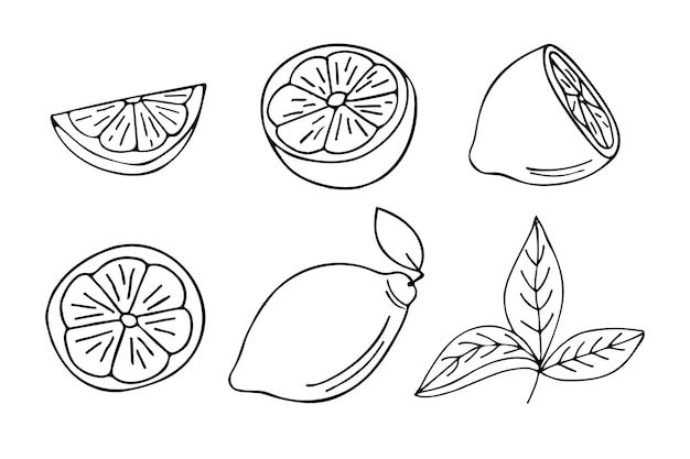 Ilustraciones de doodle de limón en vector