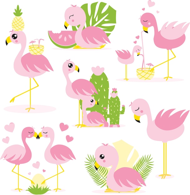 Ilustraciones de los flamencos