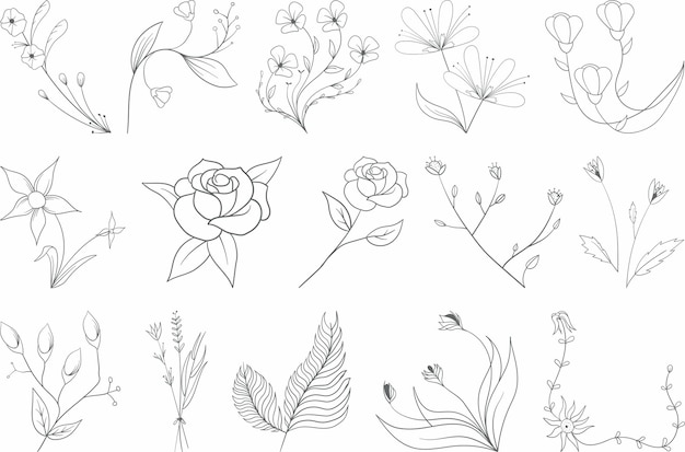 Ilustraciones florales bocetos delicados de flores con hojas y tallos arte vectorial botánico elegante