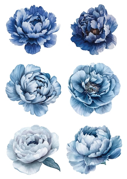ilustraciones florales con delicadas flores de colores pastel con detalles intrincados de pétalos perfectas para proyectos de diseño invitaciones y decoración estas elegantes flores añaden un toque de belleza de la naturaleza