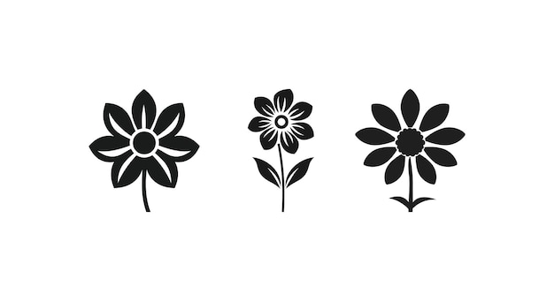 Ilustraciones de flores abstractas en BW