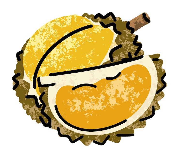 Vector ilustraciones de frutas ilustración simple en estilo de dibujo de contorno plano abstracto comida saludable