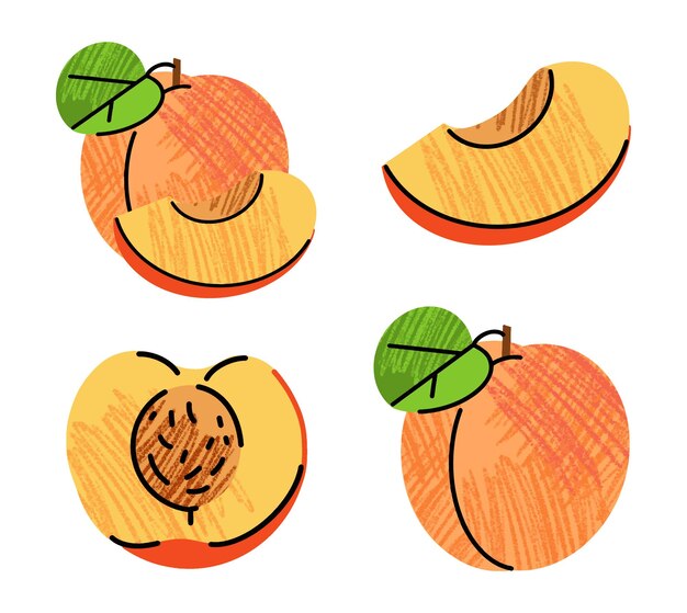 ilustraciones de frutas ilustración simple en estilo de dibujo de contorno plano abstracto comida saludable
