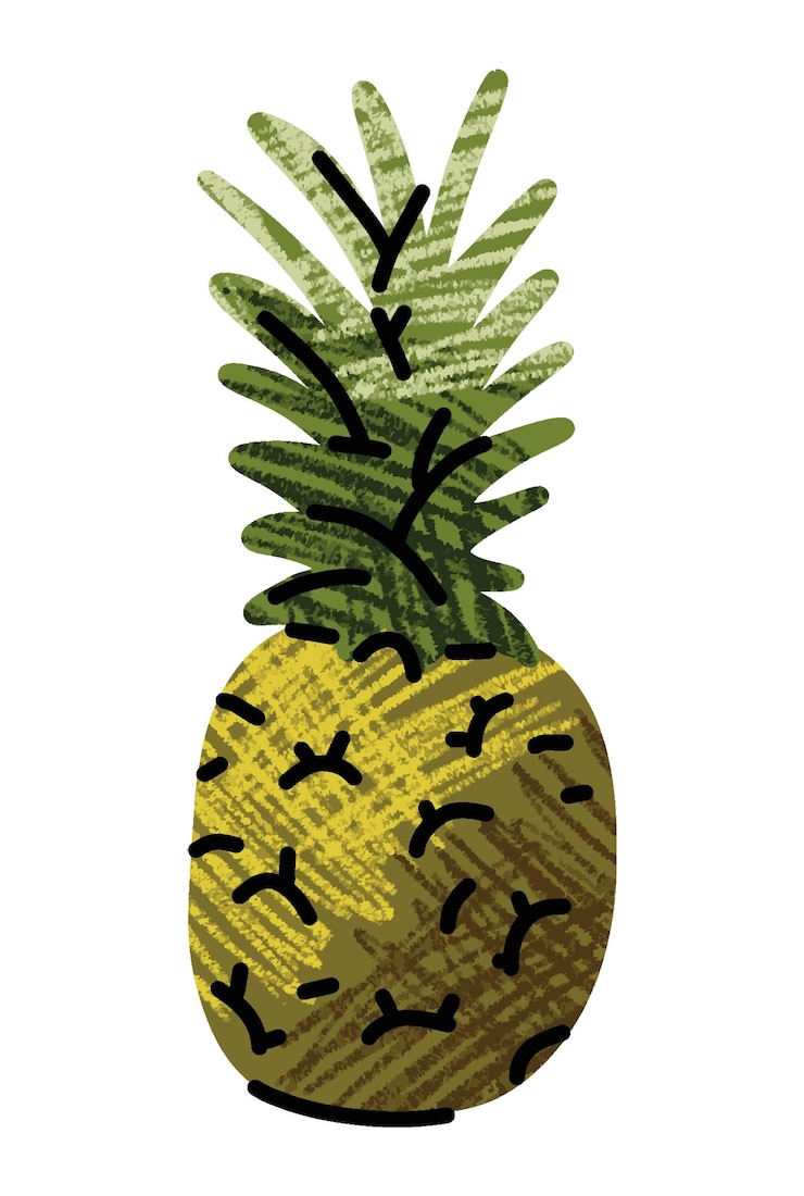 Vector ilustraciones de frutas ilustración simple en estilo de dibujo de contorno plano abstracto comida saludable