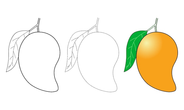 Ilustraciones de frutos de mango con contornos y versiones coloreadas listas para colorear o usar como elementos de diseño gráfico