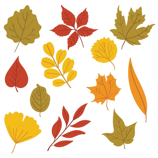 Ilustraciones de hojas coloridas en conjunto de ilustraciones de otoño