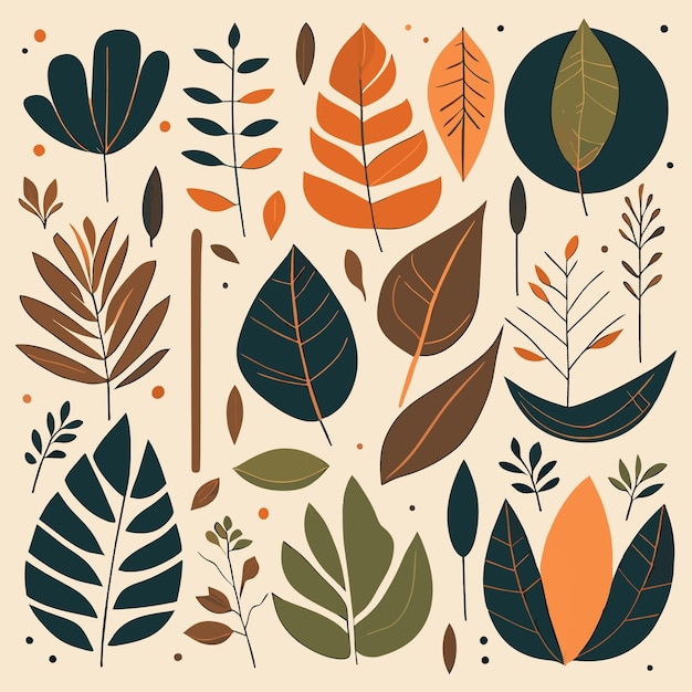 Ilustraciones de hojas de selva tropical