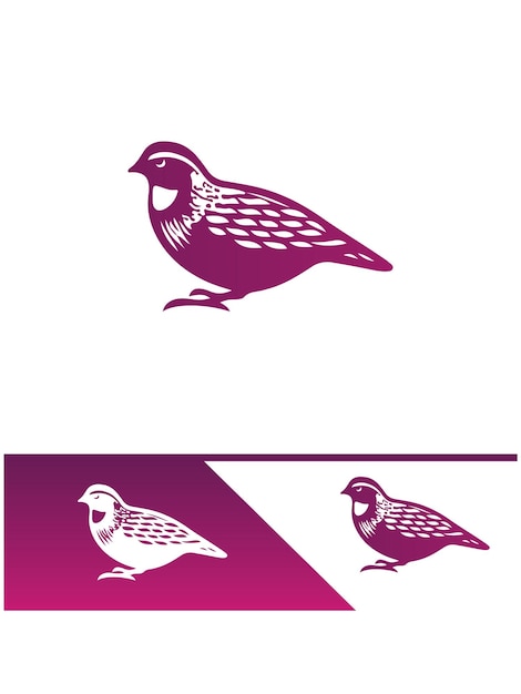 Ilustraciones del logotipo de la codorniz