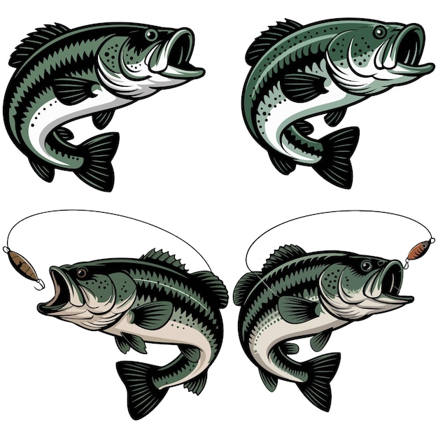Ilustraciones de peces de bajo Una colección de peces deportivos