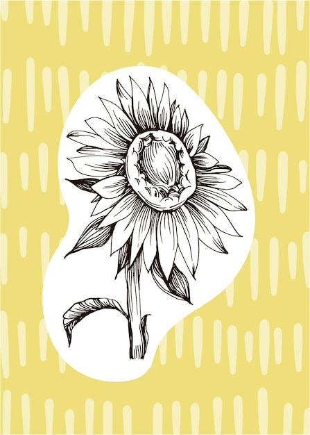 Ilustraciones pintadas a mano de girasol para decoración de paredes flor minimalista en estilo boceto