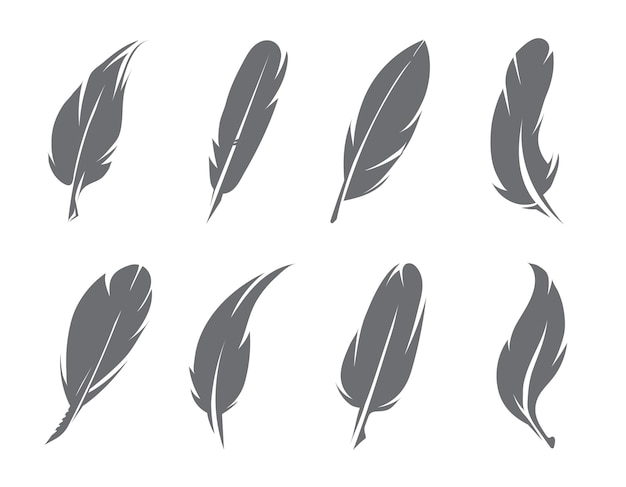 ilustraciones de plumas. Pluma de pájaro para escribir, pluma esponjosa