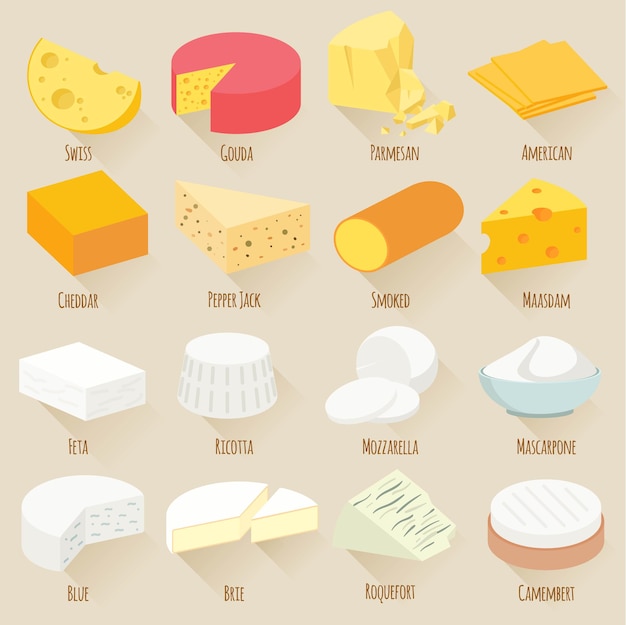 Vector ilustraciones de popular kind of cheese