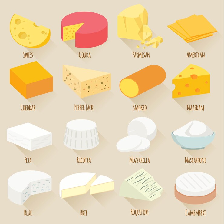 Vector ilustraciones de popular kind of cheese
