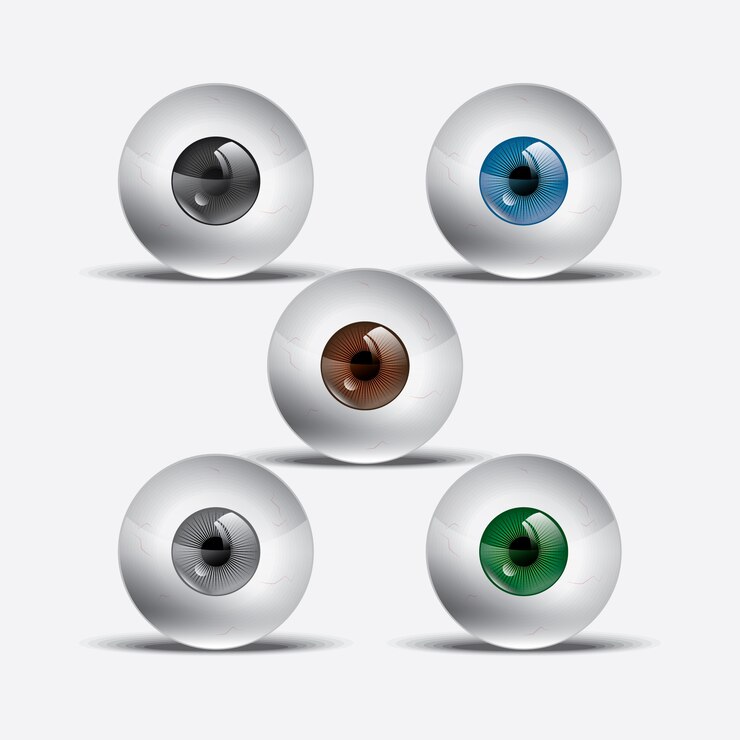 Ilustraciones realistas de la bola del ojo