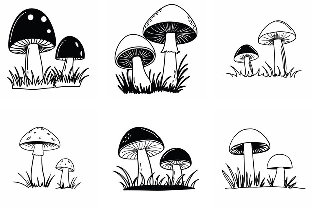 Ilustraciones de setas en blanco y negro para proyectos de arte inspirados en la naturaleza
