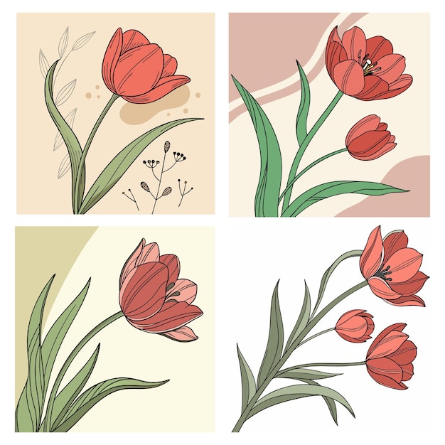 Ilustraciones de los tulipanes rojos
