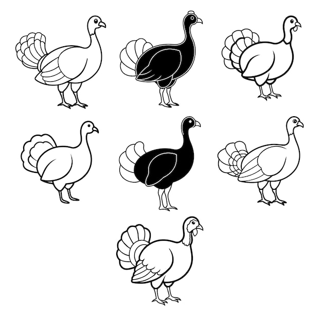 Ilustraciones de la Turquía