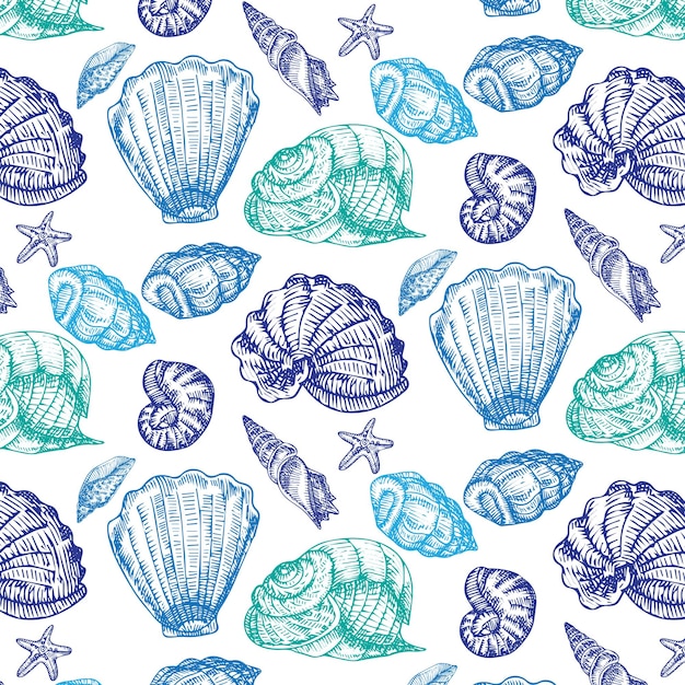 Ilustraciones de vectores dibujados a mano - patrón sin fisuras de conchas marinas. Fondo marino.