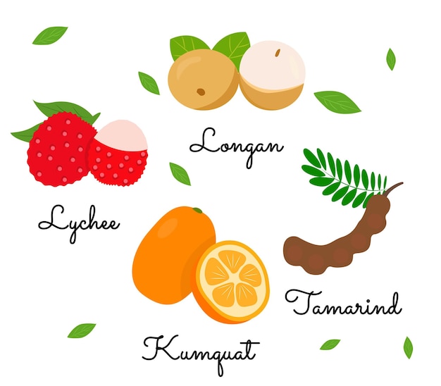 Ilustraciones de vectores de frutas