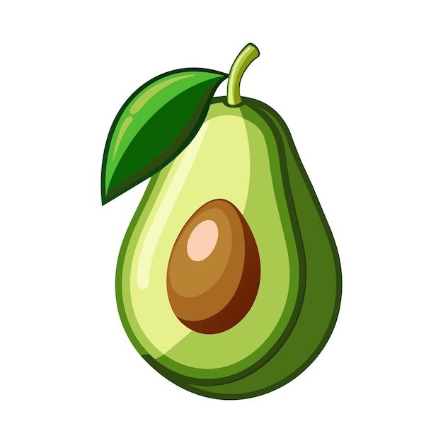 Ilustraciones vectoriales aisladas de frutas de aguacate