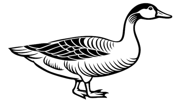 Ilustraciones vectoriales de ganso Gráficos de alta calidad para sus proyectos