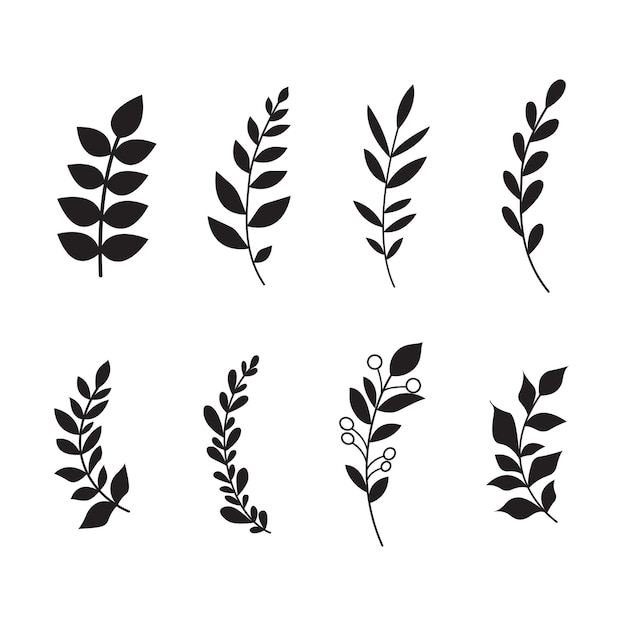 Ilustraciones vectoriales minimalistas en blanco y negro de hojas