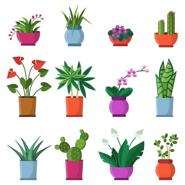 Vector ilustraciones vectoriales de plantas de casa en macetas