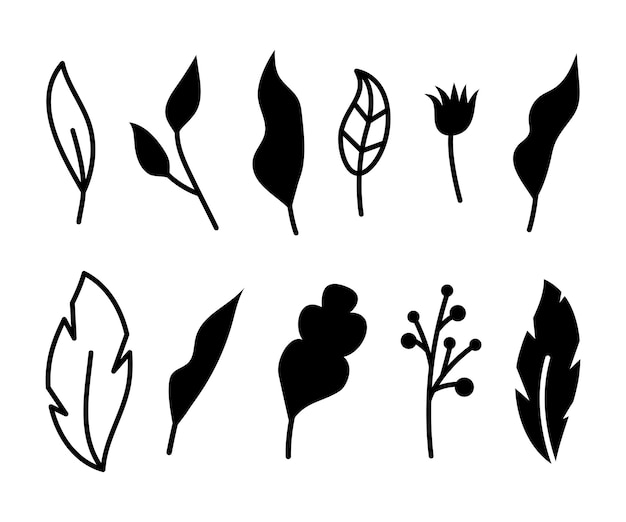 Ilustraciones vectoriales de ramas flores y hojas Elementos florales negros dibujados a mano Diseño botánico vintage