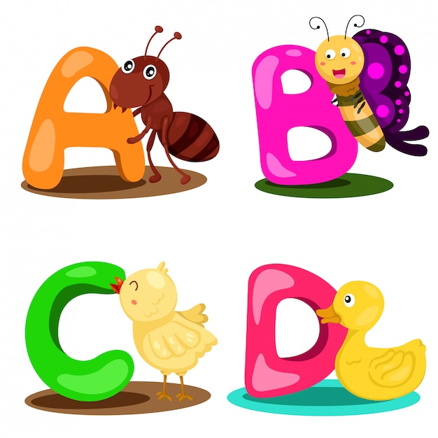 Vector ilustrador alfabeto animal carta - a, b, c, d