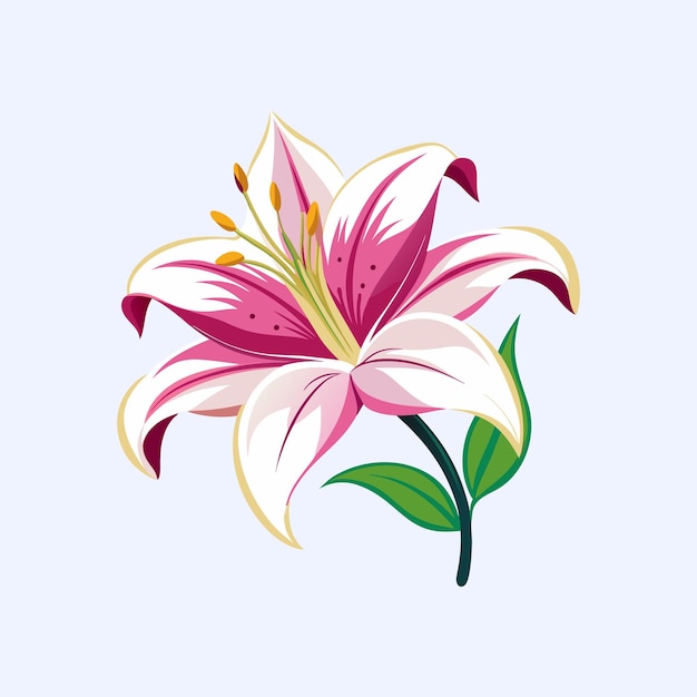 Ilustrador de arte vectorial de lirio de colores